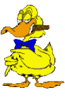 gifs animés de canards