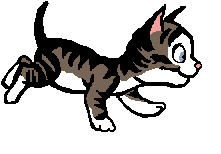 gifs anims de chats