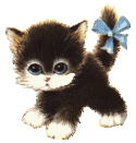 gifs anims de chats