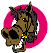gifs animés de chevaux