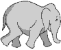 Images animées d'éléphants