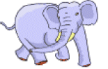 Images animées d'éléphants