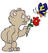 gifs animés d'ours