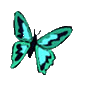 gifs animés de papillons
