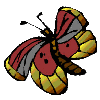 gifs animés de papillons