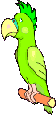 gifs animés de perroquets