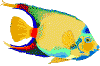 gifs animés de poissons