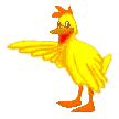 gif animé de poule