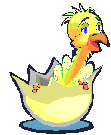 gif animé de poule