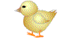 gif animé de poule