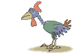 gif animé de poule