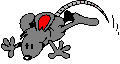 gifs animés de souris