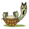 gifs animés de tortues