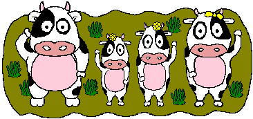 gifs animés de vaches
