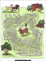 Jeux de chevaux