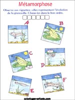 jeux de grenouilles