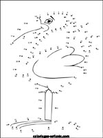 Jeux d'oiseaux
