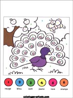 Jeux d'oiseaux