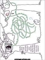 Jeux de singes