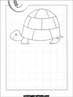 Jeux de tortues