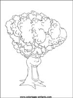 Coloriages d'arbres