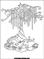 Coloriages d'arbres