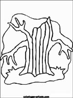 Coloriages d'arbres