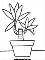 Coloriages d'arbres