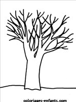 Coloriages d'arbres