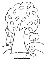 Coloriages d'arbres