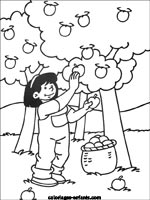 Coloriages d'arbres
