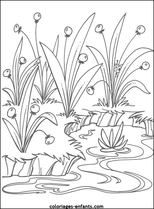 Les coloriages de fleurs sur  coloriages-enfants.com