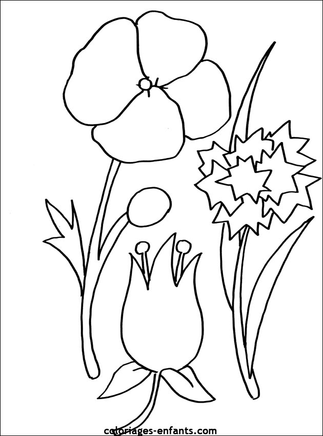 Les coloriages de fleurs sur  coloriages-enfants.com