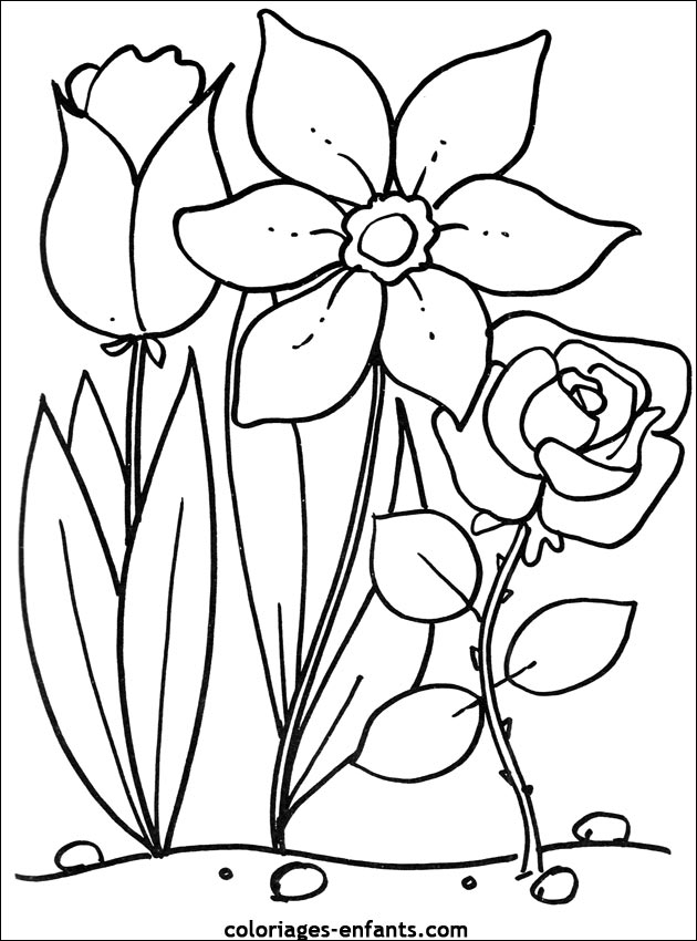 Les coloriages de fleurs sur  coloriages-enfants.com