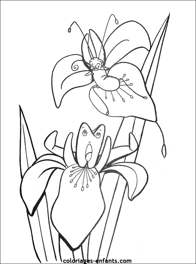 Les coloriages de fleurs sur  coloriages-enfants.com