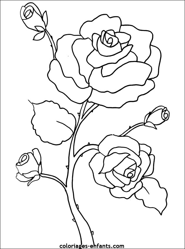 Les coloriages de fleurs sur  coloriages-enfants.com