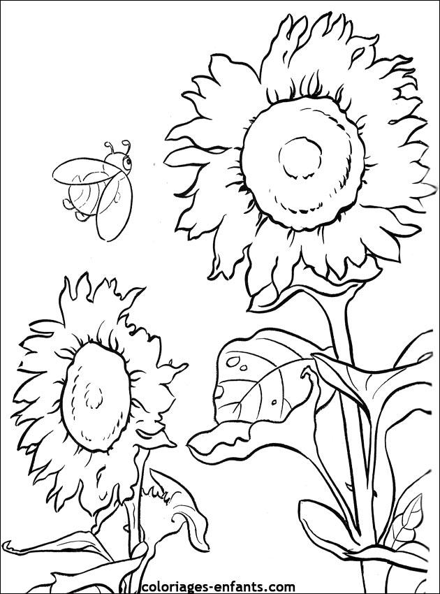 Les coloriages de fleurs sur  coloriages-enfants.com