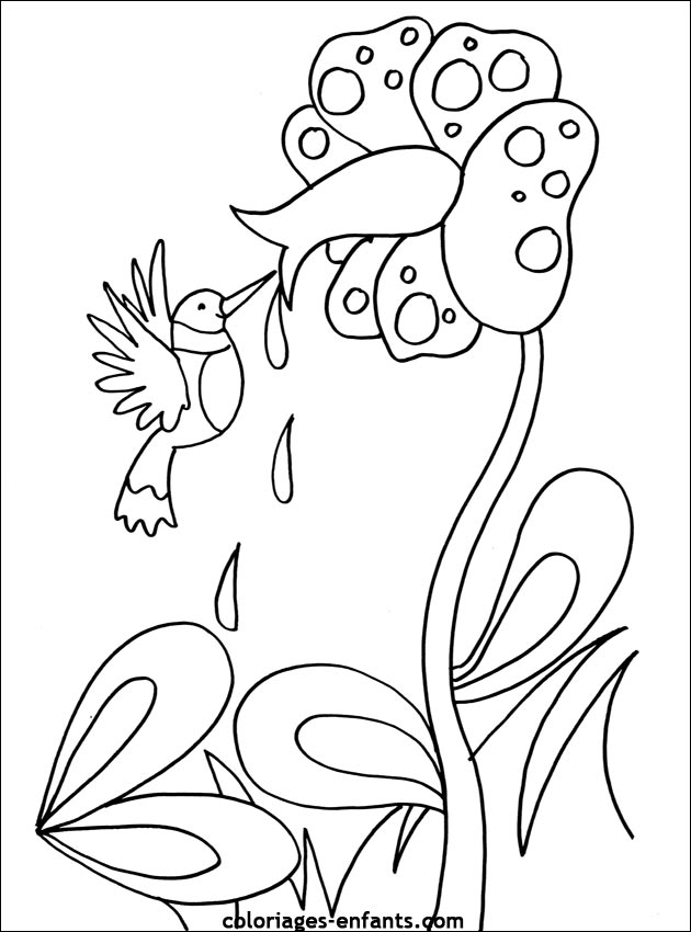 Les coloriages de fleurs sur  coloriages-enfants.com