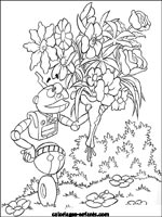 Coloriages de fleurs