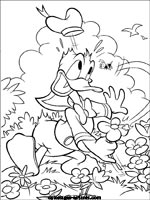Coloriages de fleurs