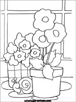 Coloriages de fleurs