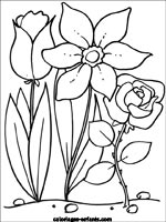 Coloriages de fleurs