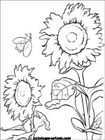 Coloriages de fleurs