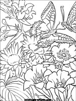 Coloriages de fleurs