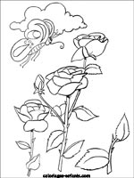 Coloriages de fleurs