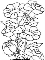 Coloriages de fleurs