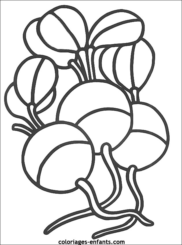 coloriages de fruits et lgumes