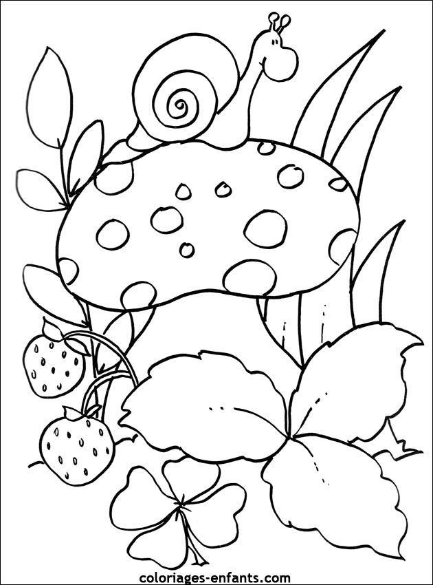 coloriages de fruits et lgumes