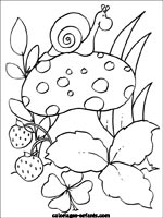 Coloriages de fruits-legumes