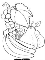 Coloriages de fruits-legumes